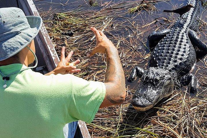 Smaller Airboat - The Real Everglades